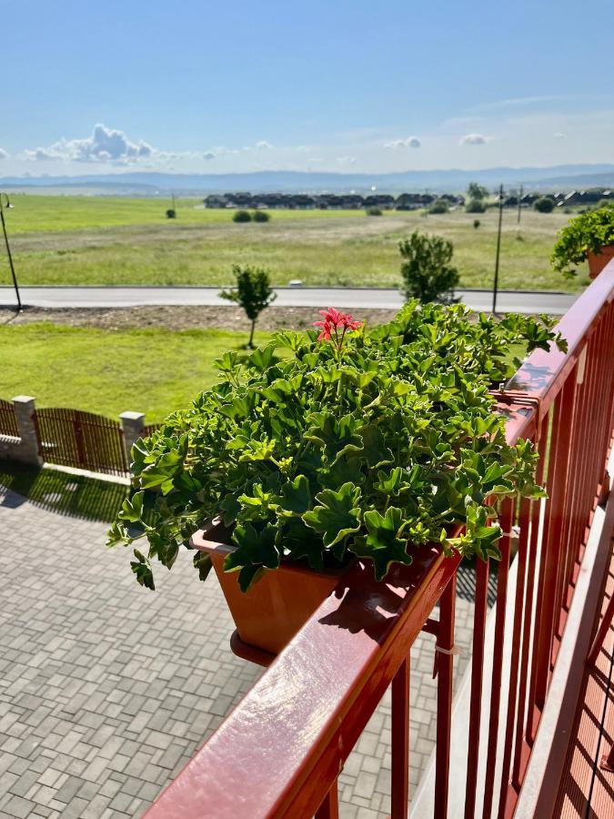 Privat U Eriky Hotel Stara Lesna Exterior photo